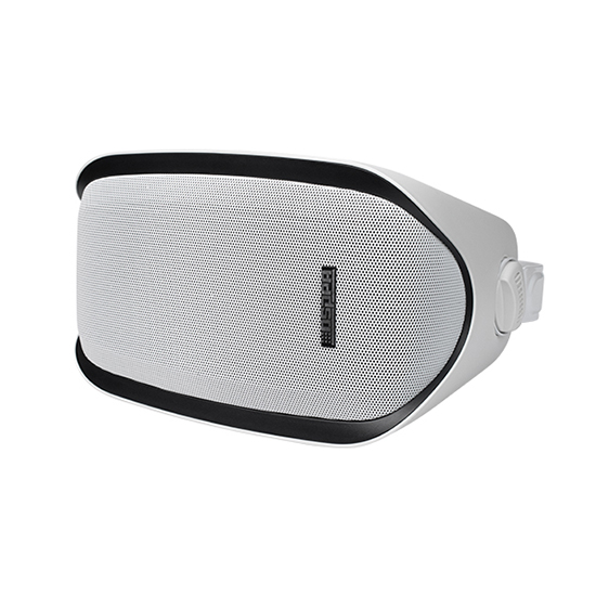 Boks Zëri Muri DSPPA DSP2601 (20W, Rezistent Jashtë, E Bardhë)